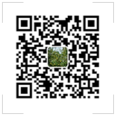 準(zhǔn)點光學(xué)